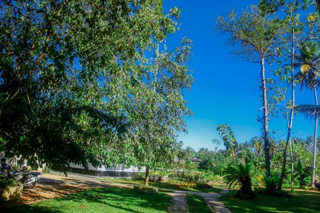 Aparthotel The Glade Weligama Exteriér fotografie